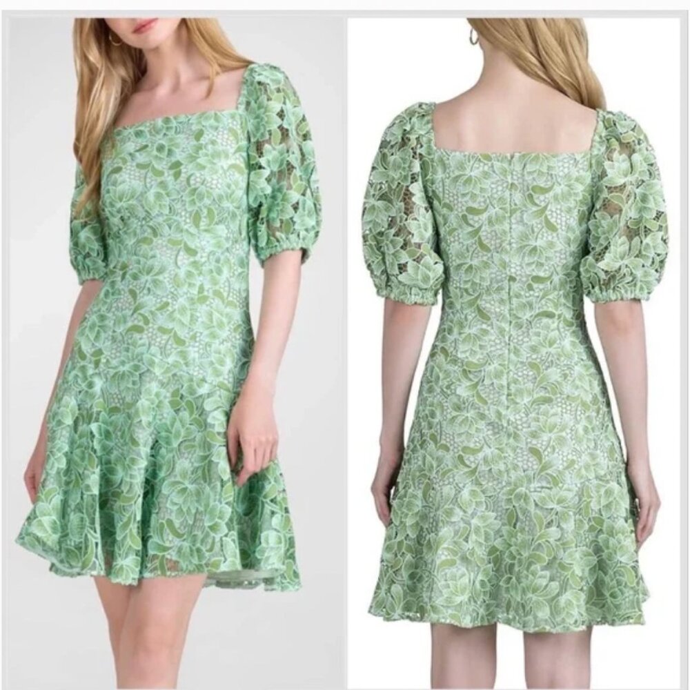 Shoshanna Women's Layne Garden Lace Mini Dress, Size 0
